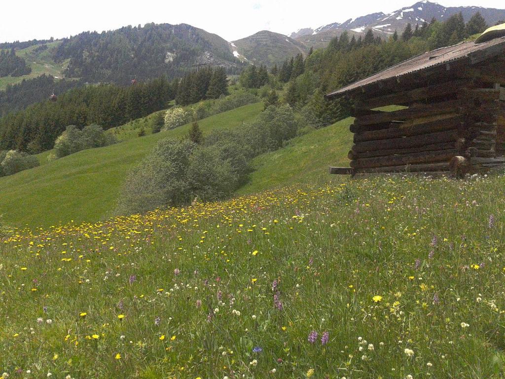 Apart Panoramablick Appartement Kaunerberg Buitenkant foto